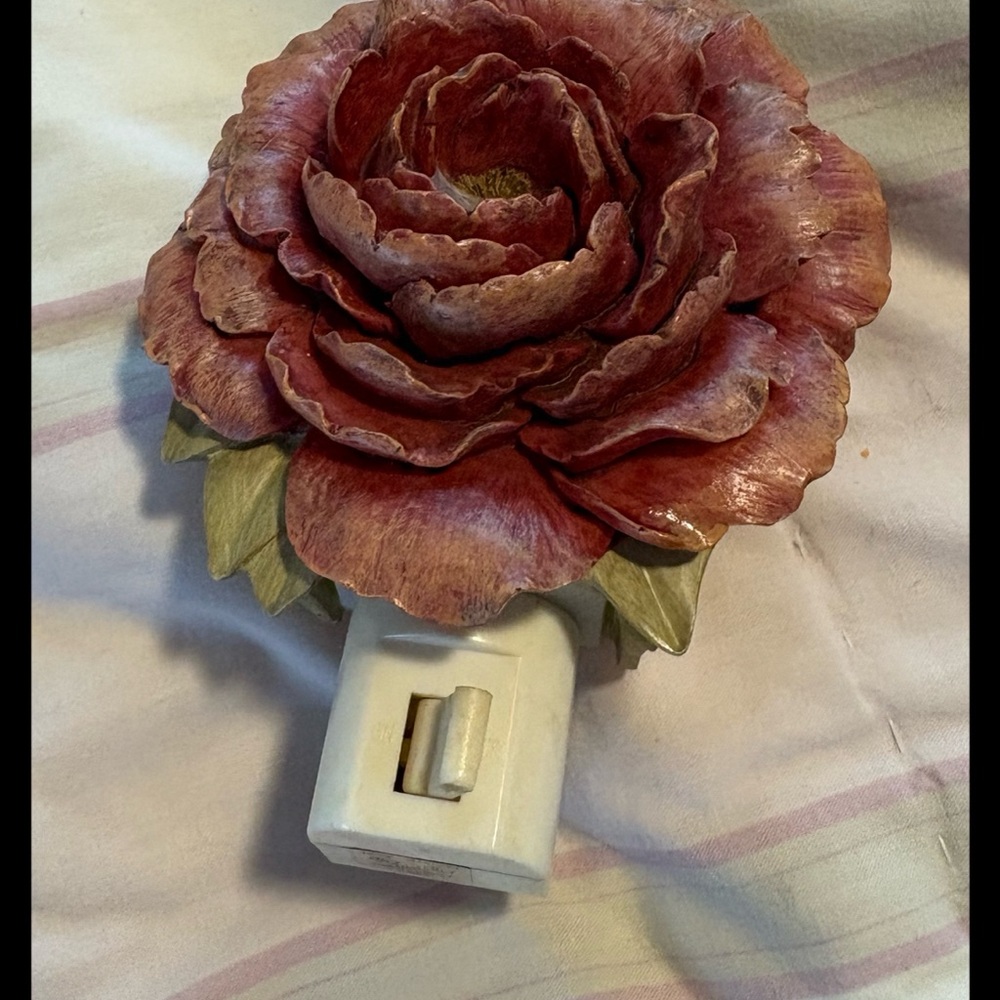 Floral Night Light with Red and Green Accents